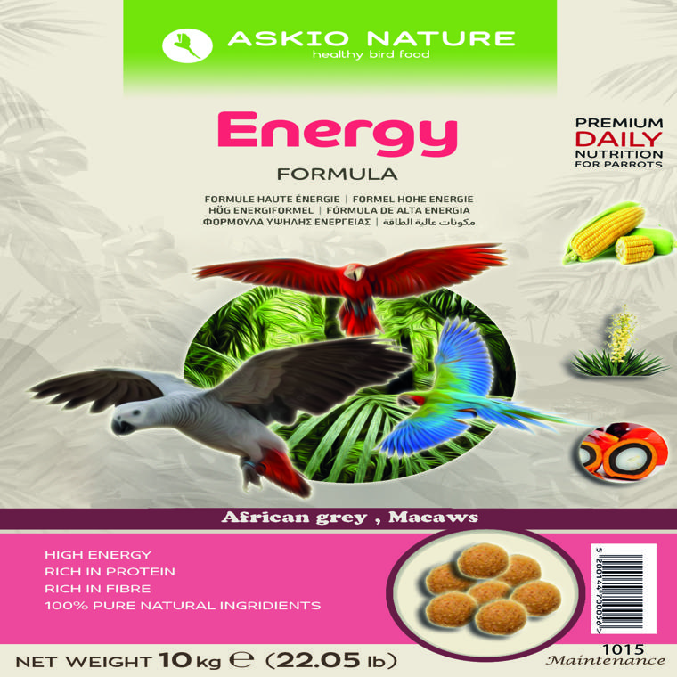 energy maintenance parrots